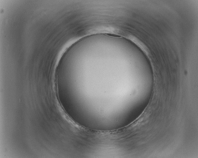 X0000076401104200610202124