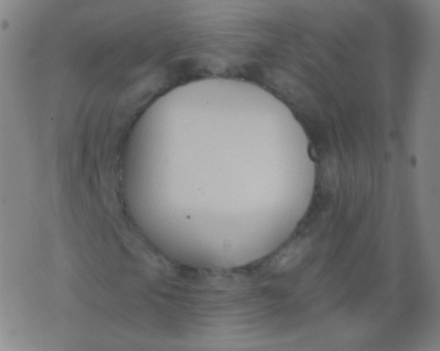 X0000076401105200610202123