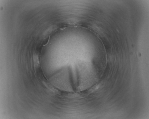 X0000076401106200610202123