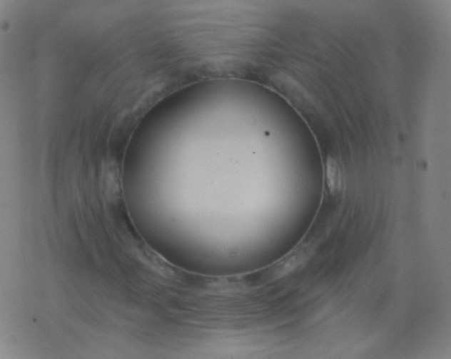 X0000076401107200610202123