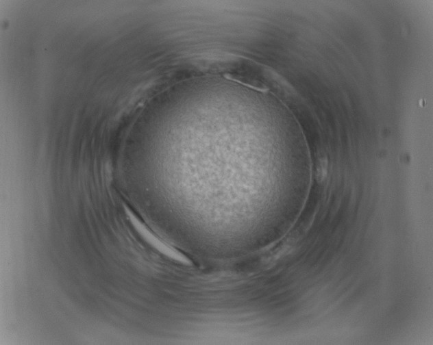 X0000076401108200610202123