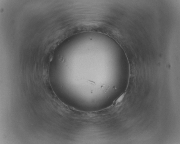 X0000076401109200610202123