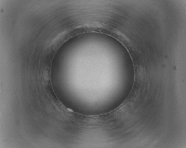 X0000076401110200610202123