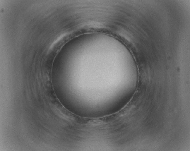 X0000076401112200610202123