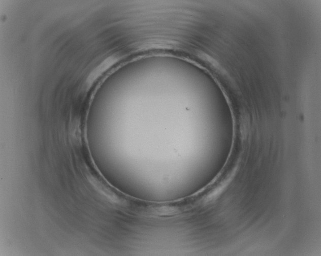 X0000076401113200610202123