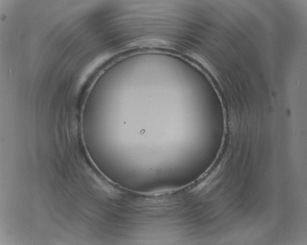 X0000076401115200610202123