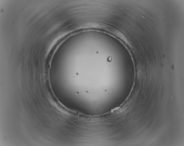 X0000076401116200610202123