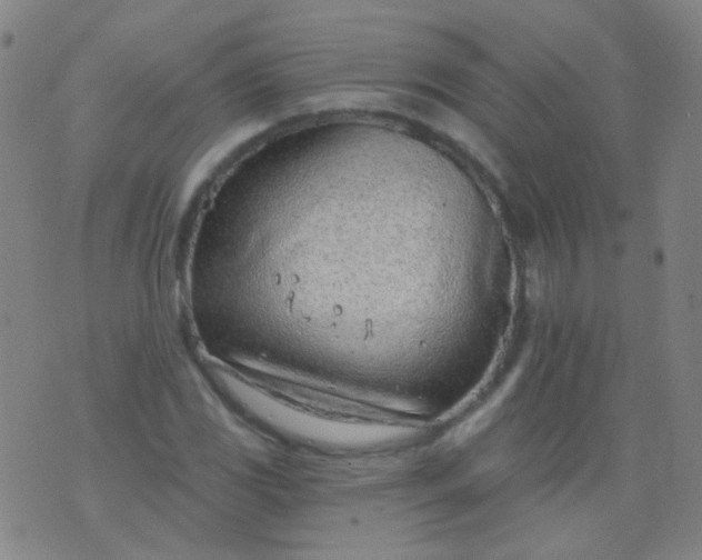 X0000076401117200610202123