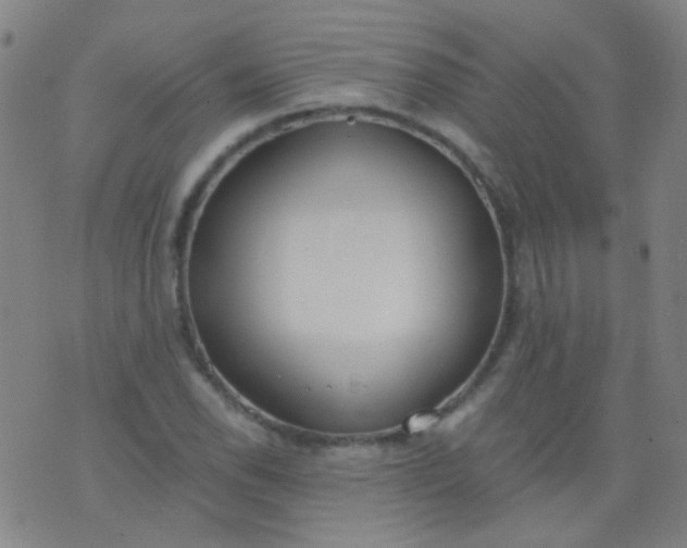 X0000076401118200610202123