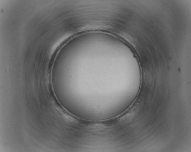 X0000076401119200610202123