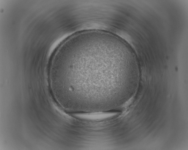 X0000076401120200610202123