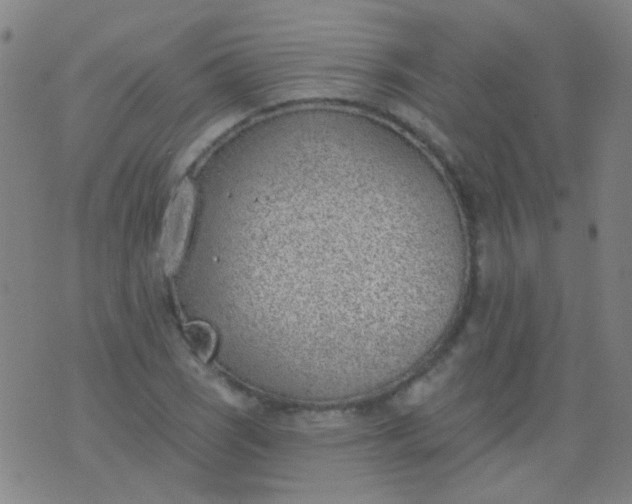 X0000076401121200610202123