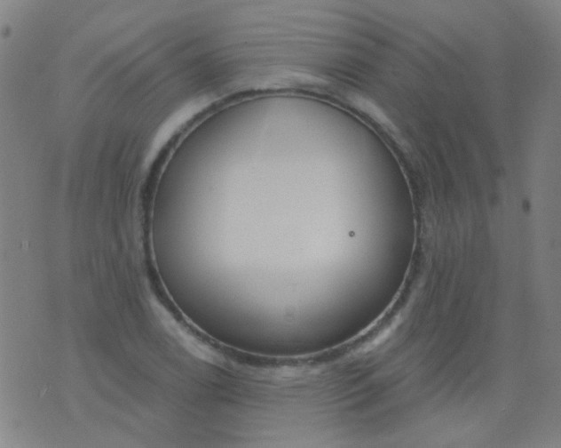 X0000076401122200610202123