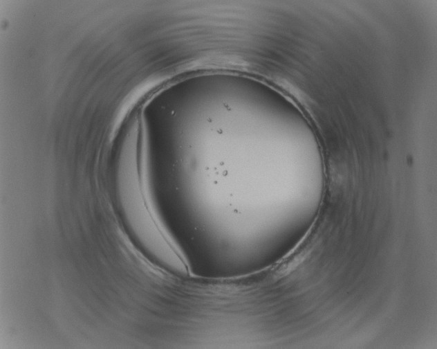 X0000076401123200610202123