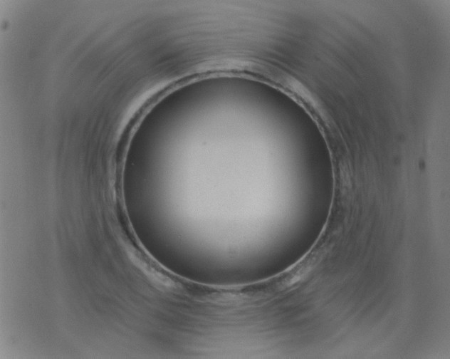 X0000076401124200610202123