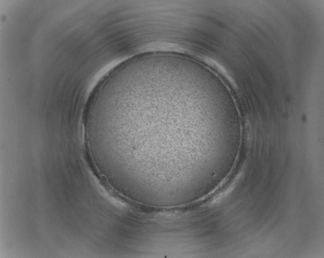 X0000076401125200610202123