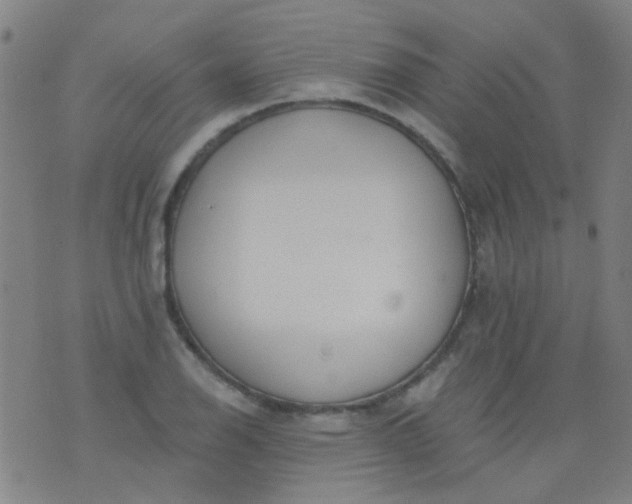 X0000076401126200610202123