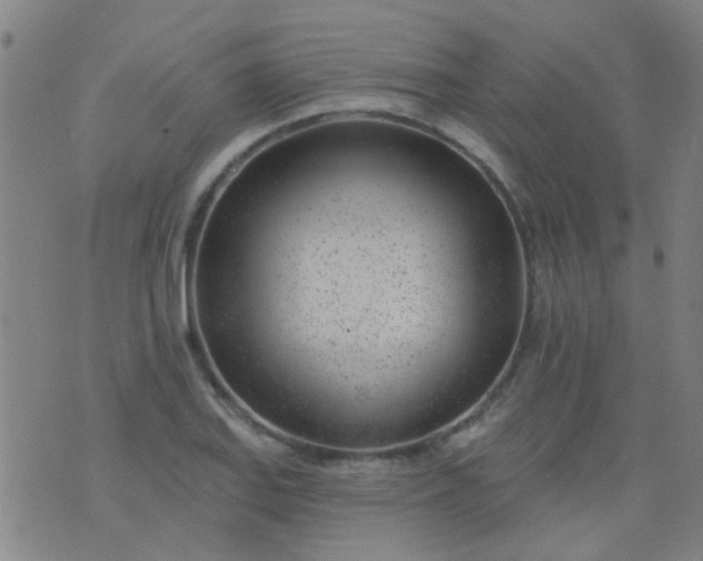 X0000076401127200610202123