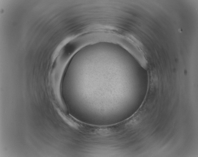 X0000076401128200610202123