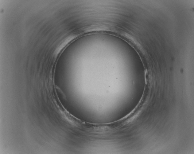 X0000076401129200610202123