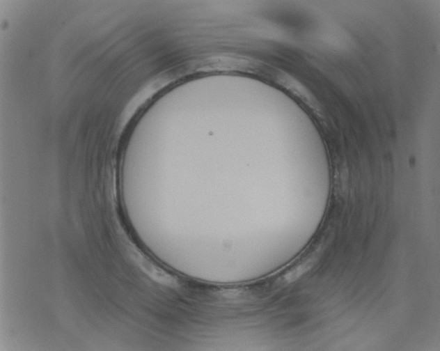 X0000076401130200610202123