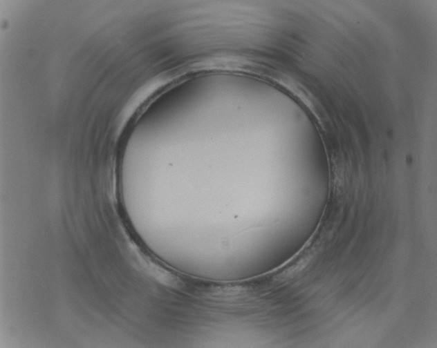 X0000076401131200610202123