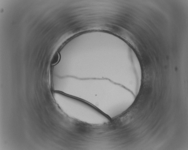 X0000076401132200610202123