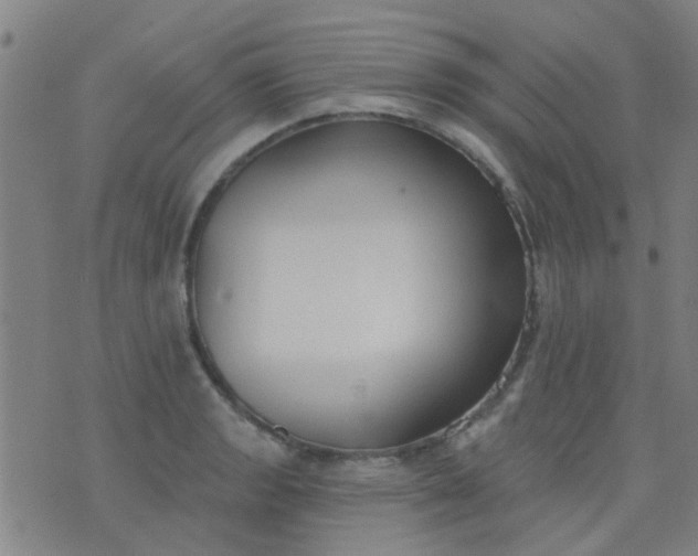 X0000076401133200610202123