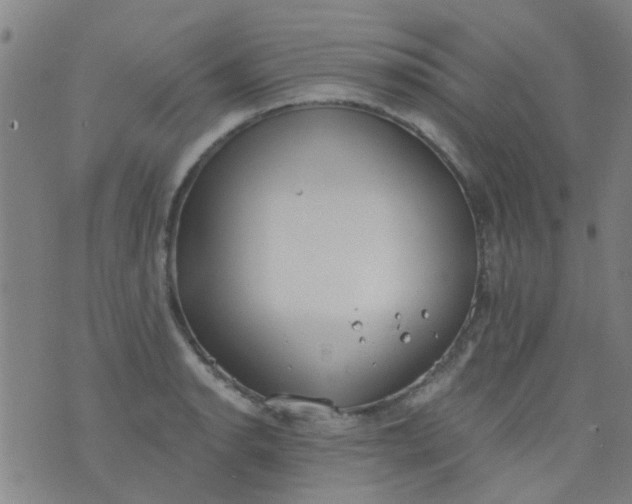 X0000076401134200610202123