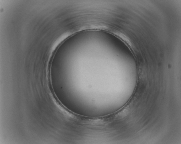 X0000076401135200610202123