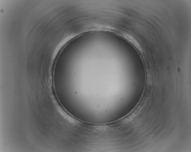 X0000076401136200610202123