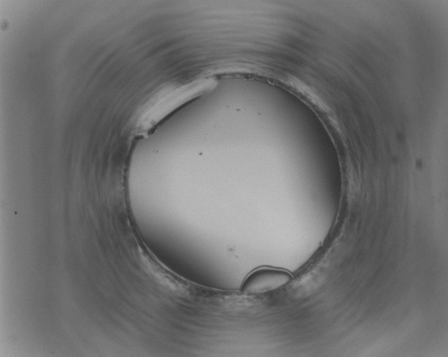 X0000076401137200610202123