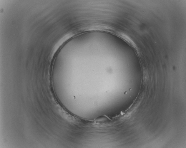 X0000076401138200610202123