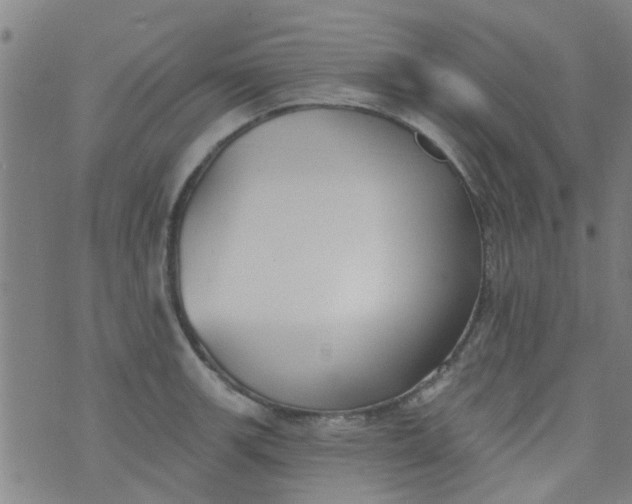 X0000076401139200610202123