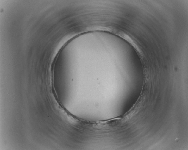 X0000076401140200610202123