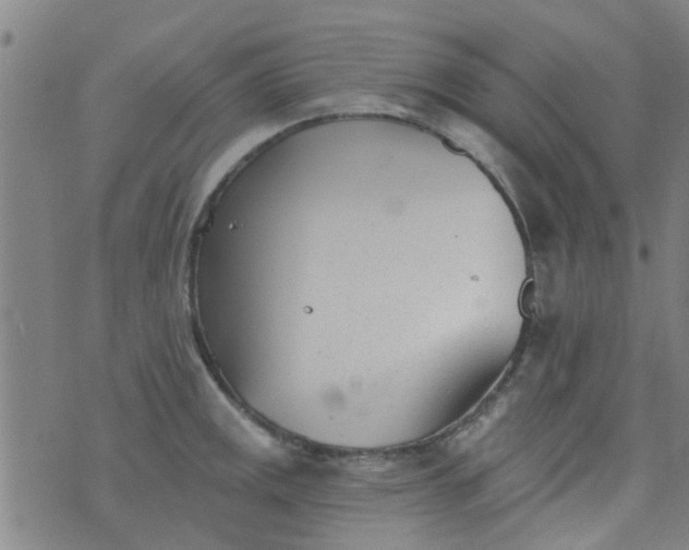 X0000076401141200610202123