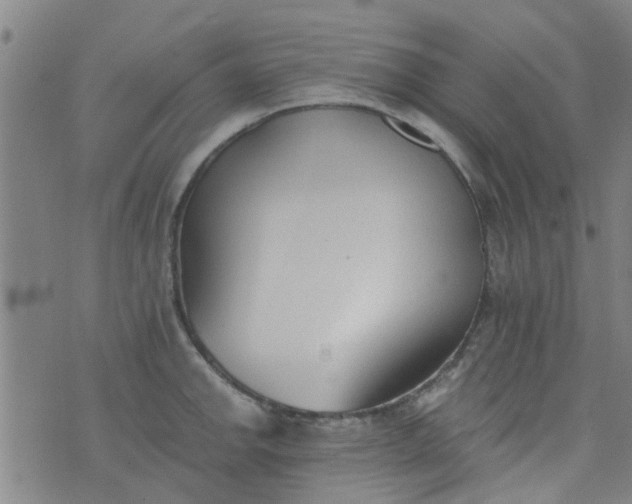 X0000076401142200610202123