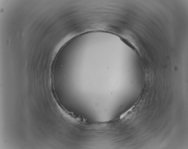 X0000076401143200610202123