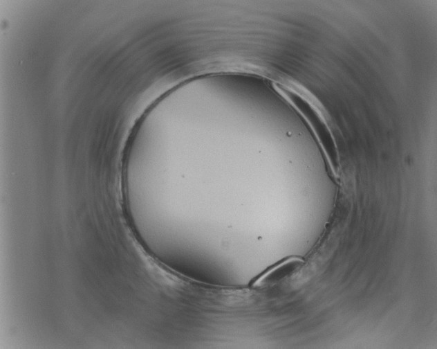 X0000076401144200610202123