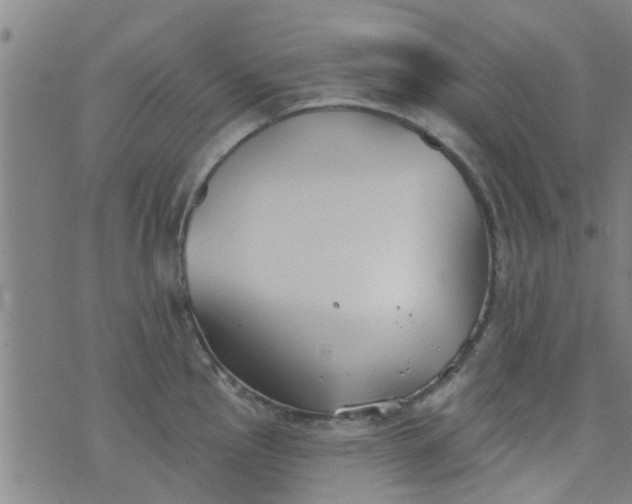 X0000076401145200610202123