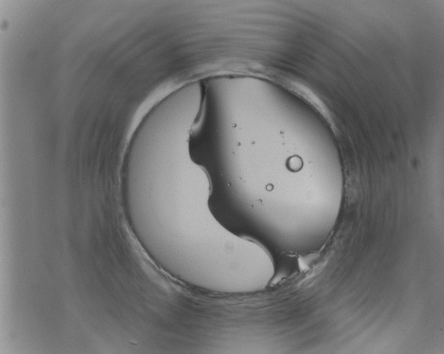 X0000076401146200610202123