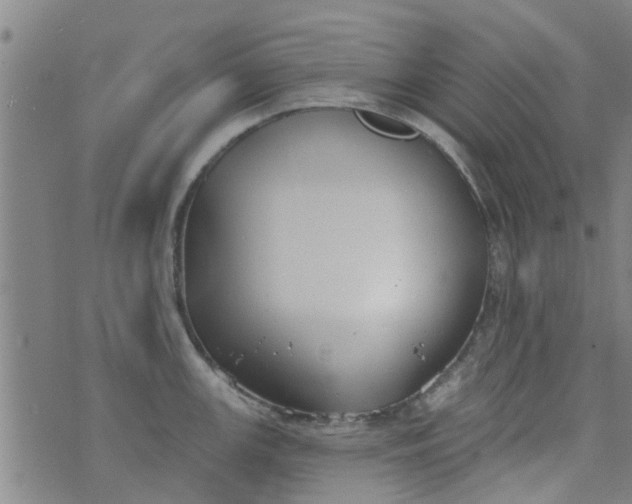 X0000076401147200610202123