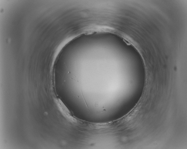 X0000076401152200610202124