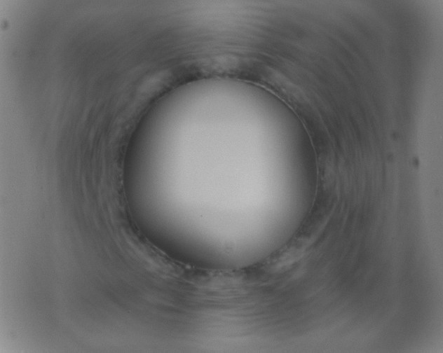 X0000076401153200610202123