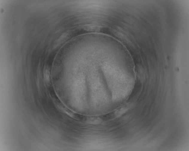 X0000076401154200610202123