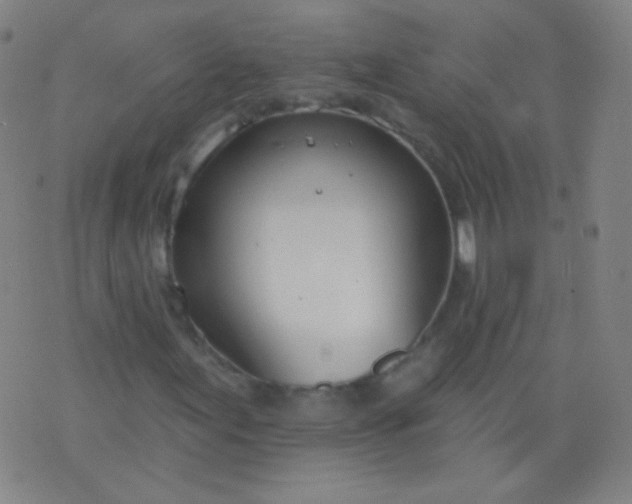 X0000076401155200610202123