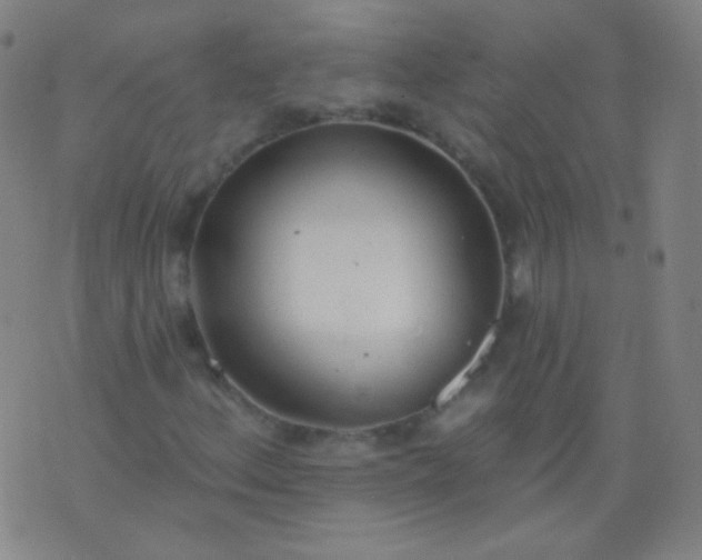 X0000076401156200610202123