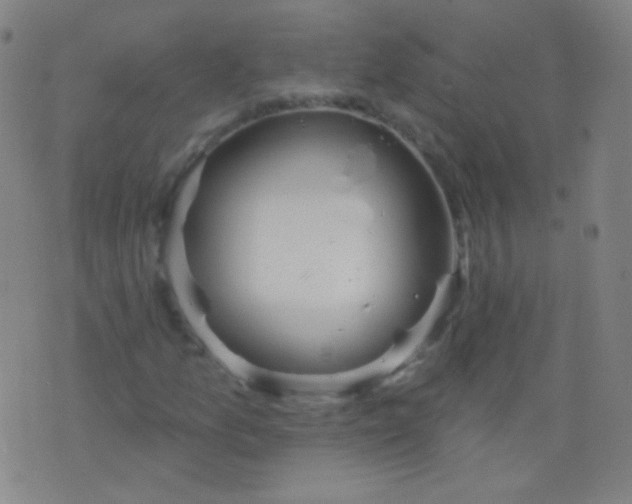 X0000076401157200610202123