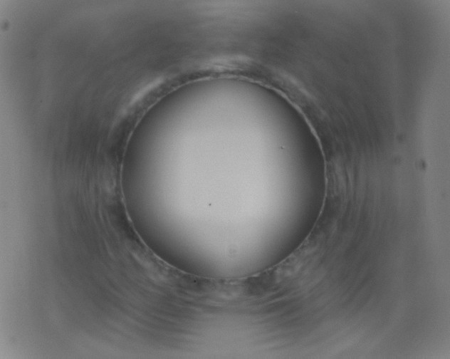 X0000076401158200610202123