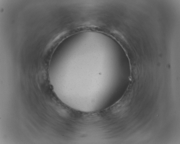 X0000076401159200610202123